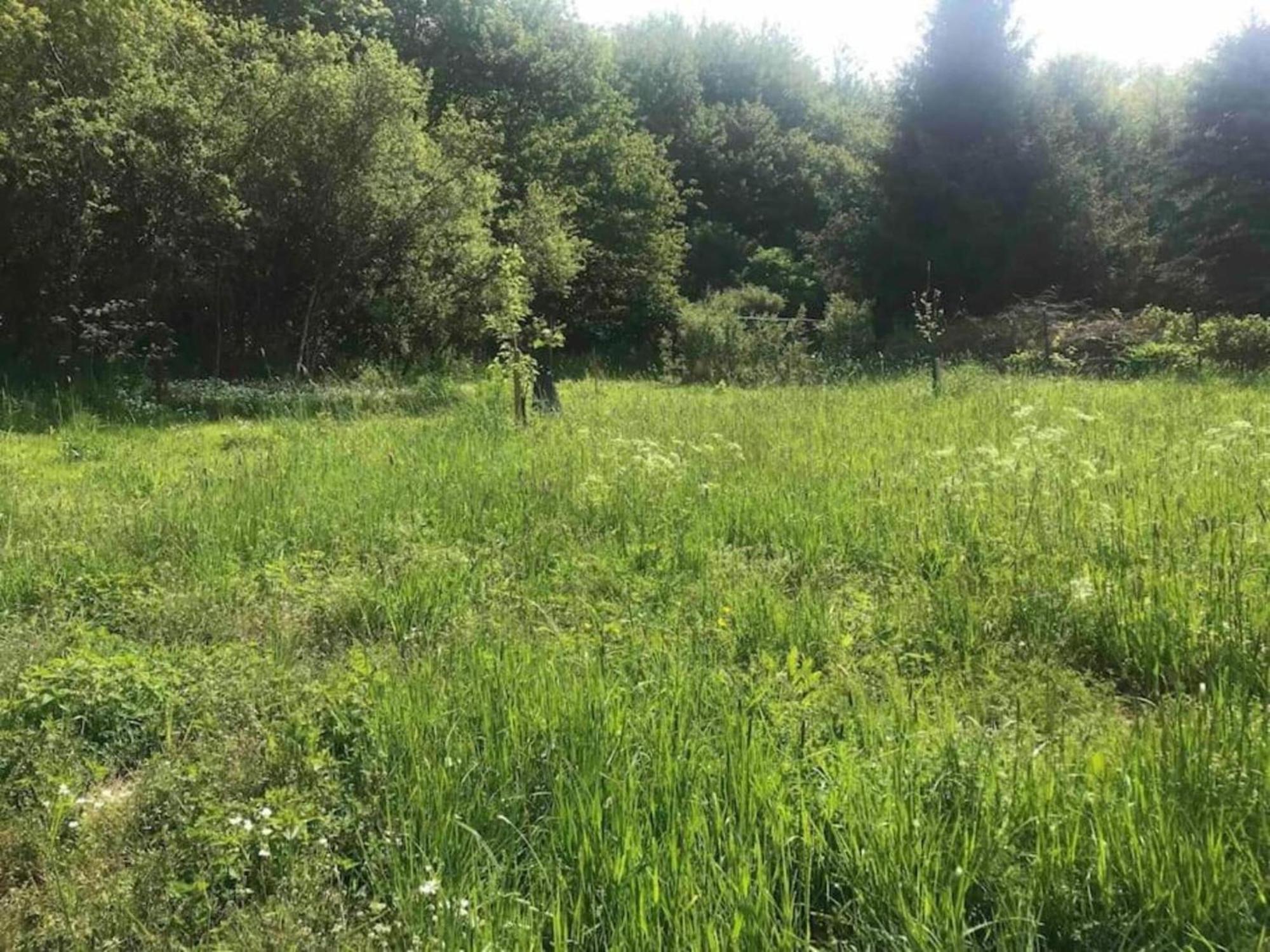 Apartment With Garden In A Wooded Setting Auw bei Prum Екстериор снимка